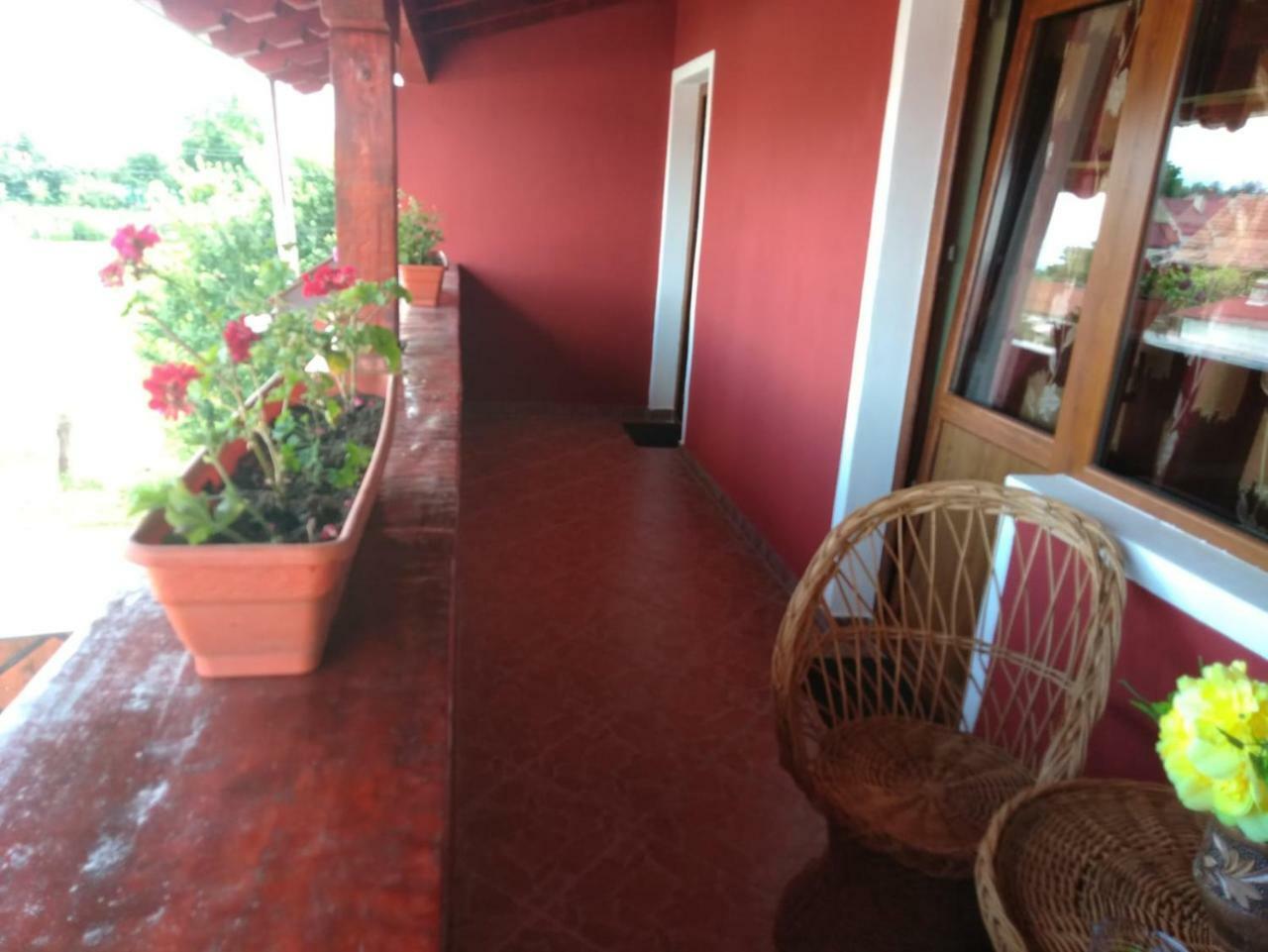 Casa Suzy & Roxy Apartment Arpasu de Jos Ngoại thất bức ảnh